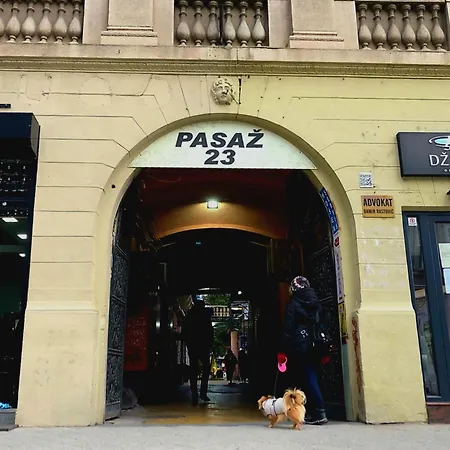 Passage 23 ノヴィ・サド